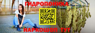 гидра Будённовск