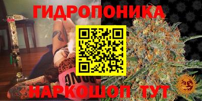 стаф Бузулук