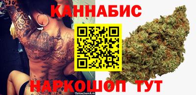 гидра Будённовск