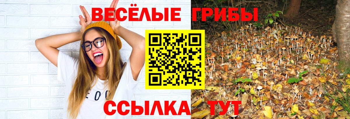 Галлюциногенные грибы прущие грибы  Галлюциногенные грибы Psilocybe  Уфа  Вход с VPN 